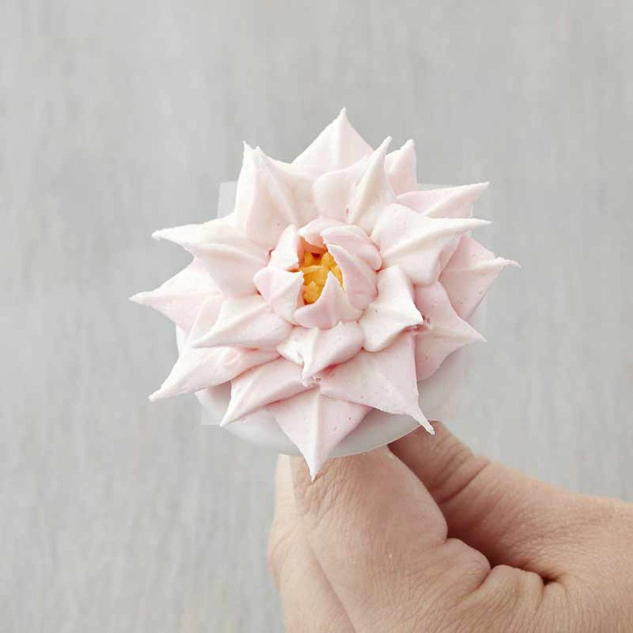 Hvordan sprøyte en vannlilje