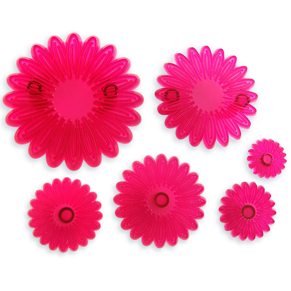 Multi Petal Daisy Gerbera