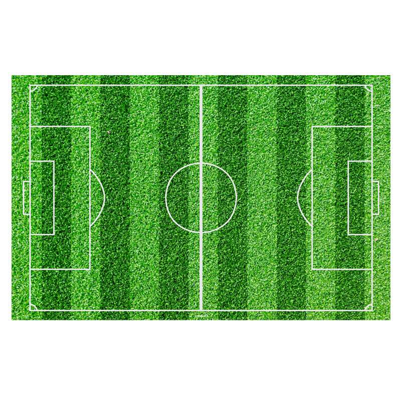 Kakebilde Fotballbane 20x30cm