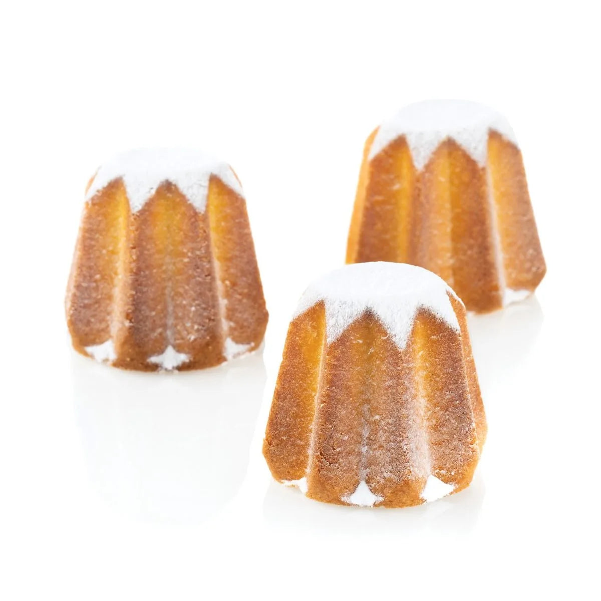 Silikonform Mini Pandoro, SF100 4