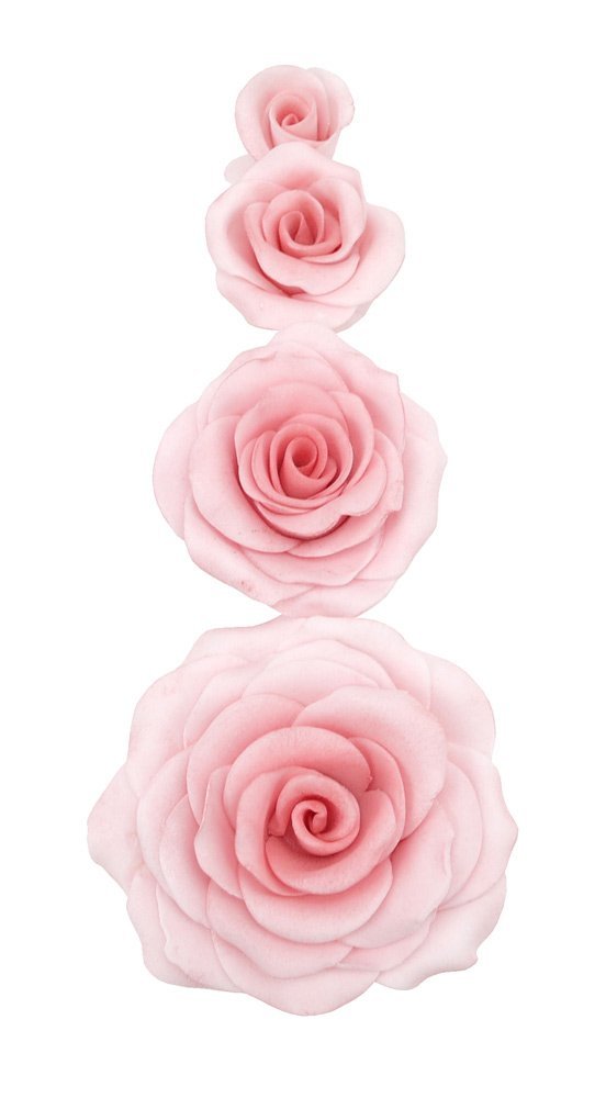 Utstikker Roser 2 pk, 1,5-5,0 cm, The Easiest Rose 2