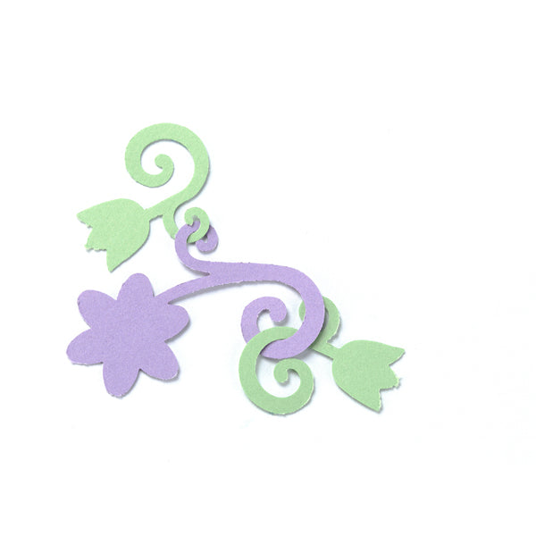 Garland Punch-Spring Tuli 2