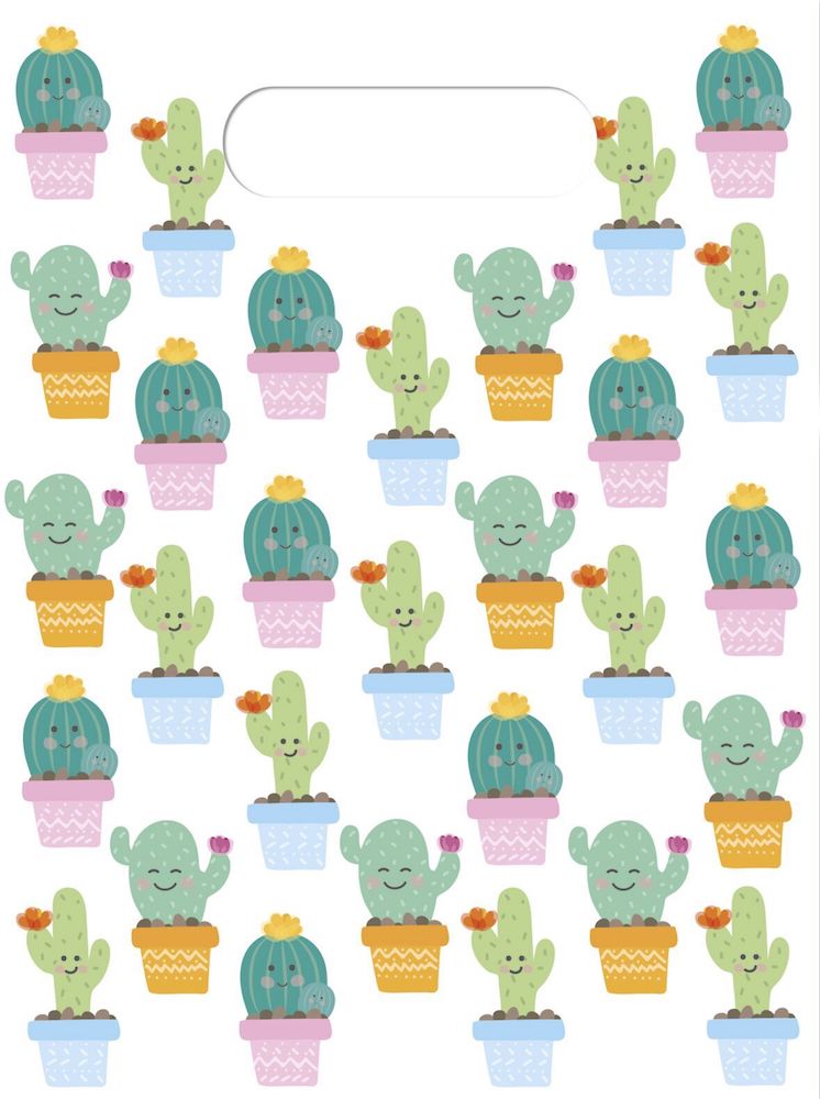 Gavepose i plast Kaktus 6 stk