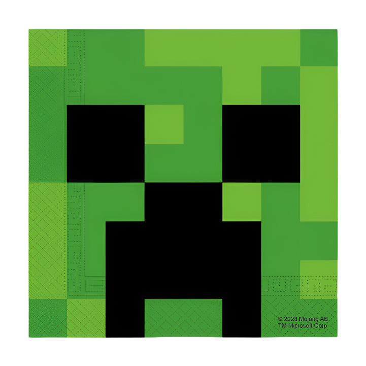 Procos Minecraft 6