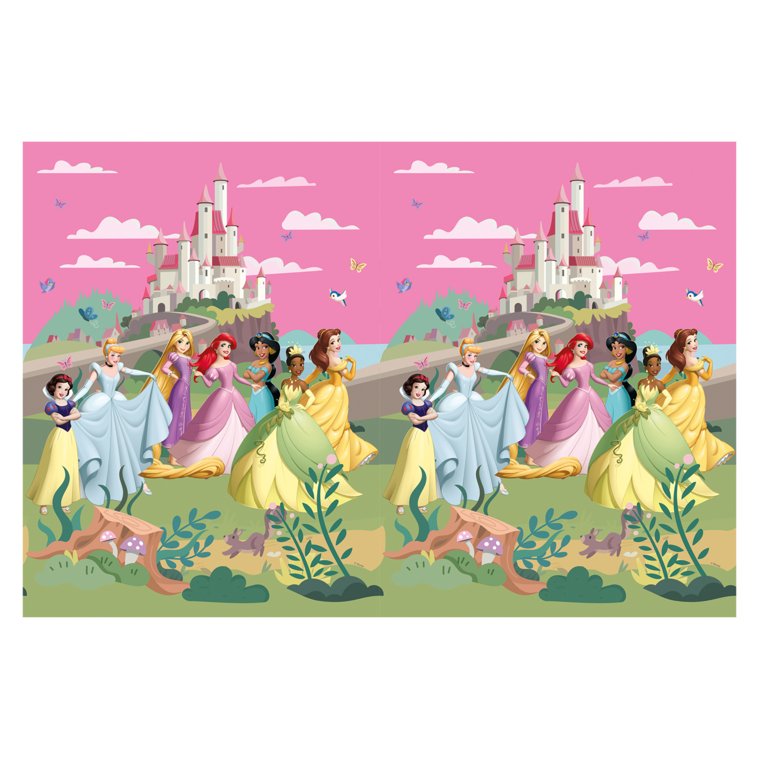 Plastduk Princess Create Your World 120x180cm