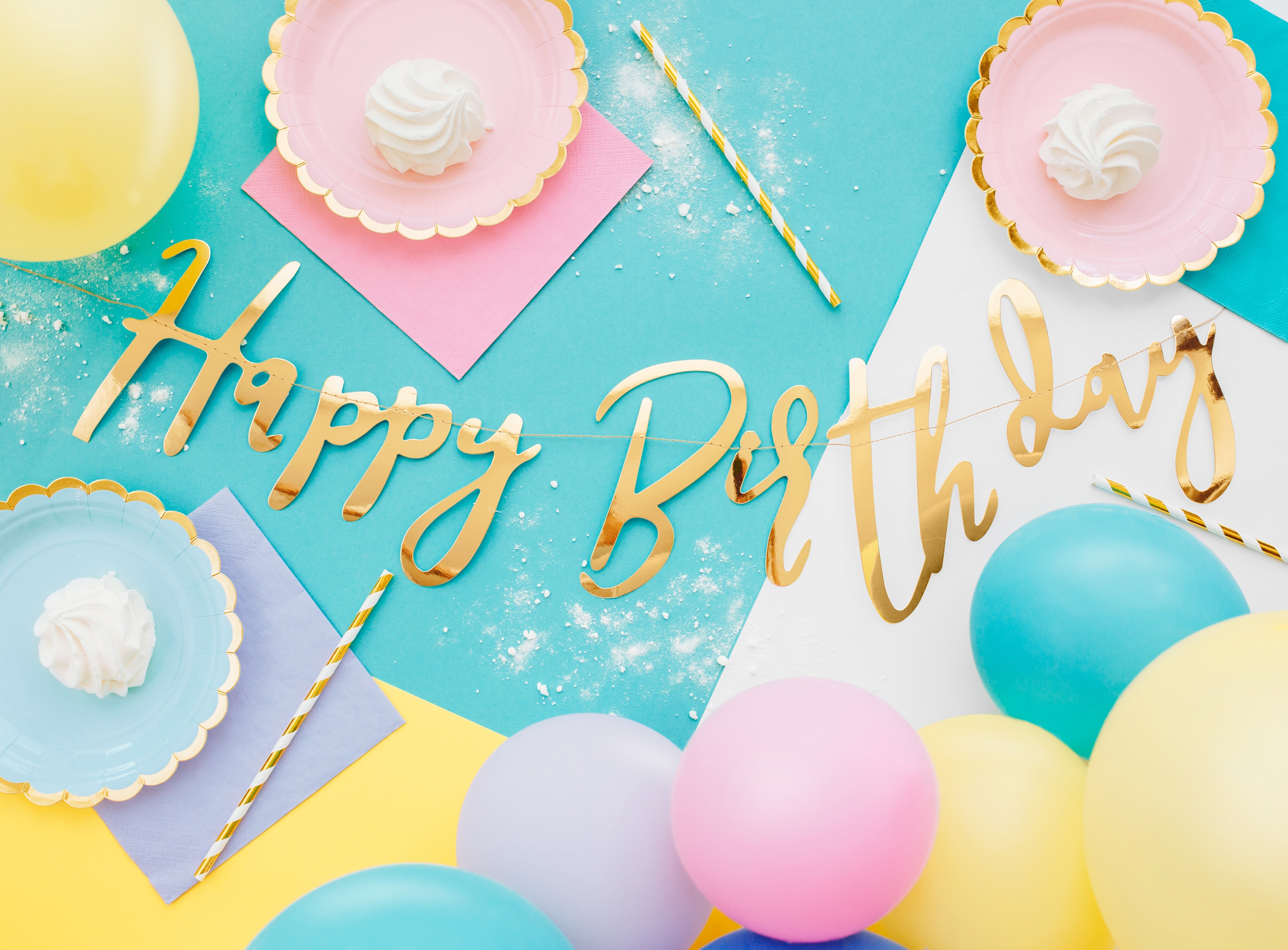 Banner Happy Birthday Gull