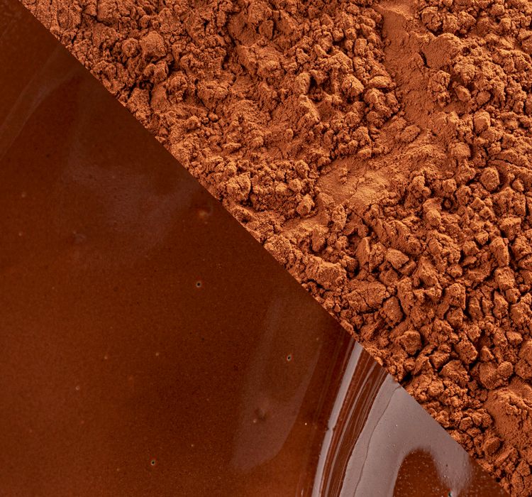 Cacao Barry Plein Arôme Kakaopulver 1kg 2