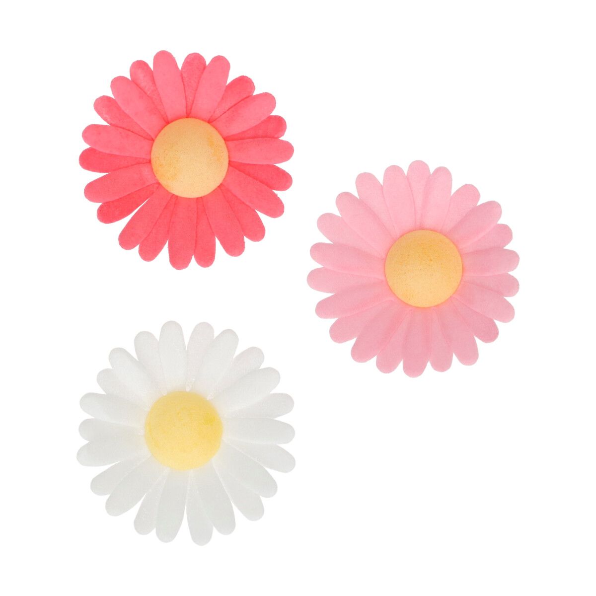 Funcakes Spiselige Blomster Daisy 13pk