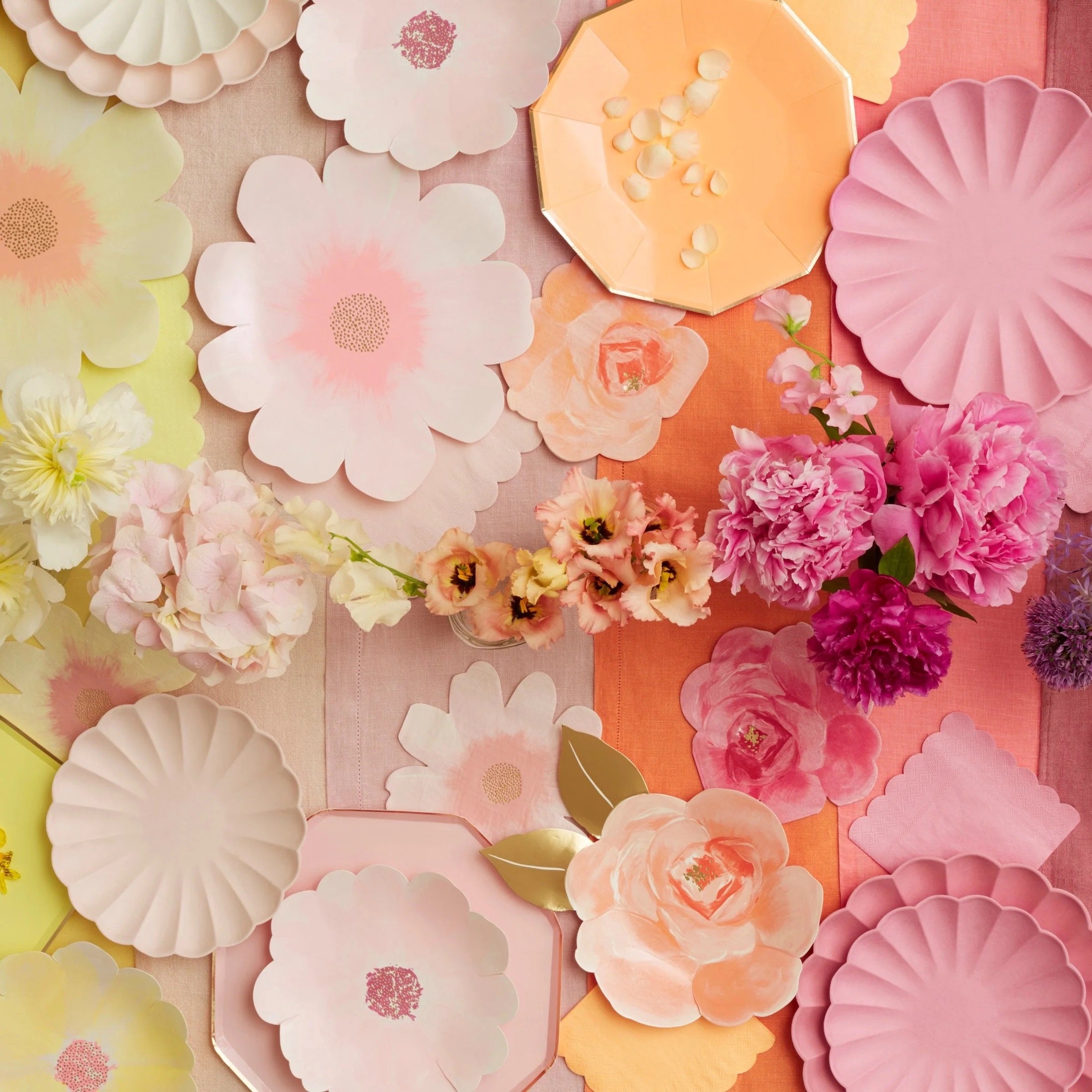 Meri Meri Tallerken Multicolor ECO Large 8 stk 4