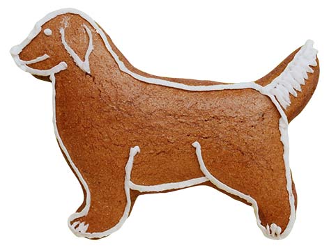 Utstikker Hund Retriver 9,5 x 6,5 cm 3