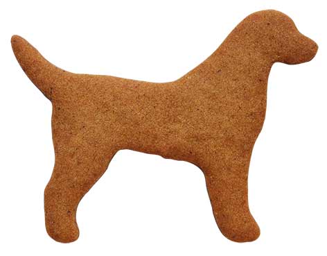 Utstikker Hund Labrador 10 x 8 cm 2