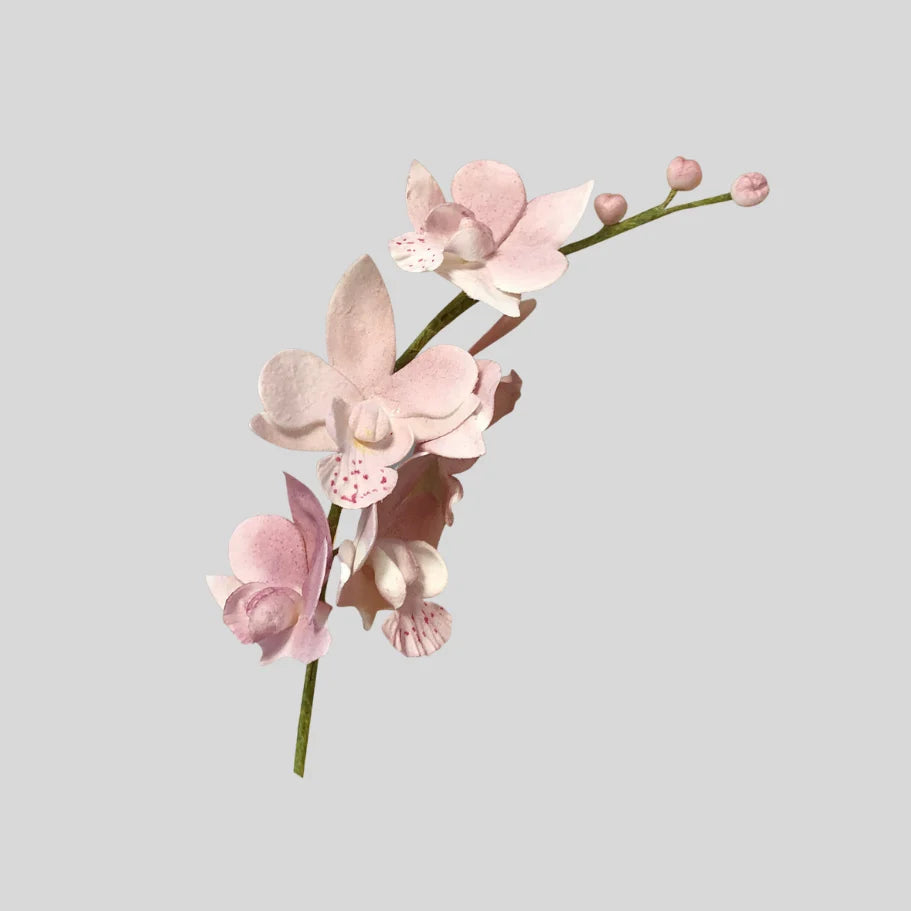 Utstikker Singapore Orkide, 3 cm blomst