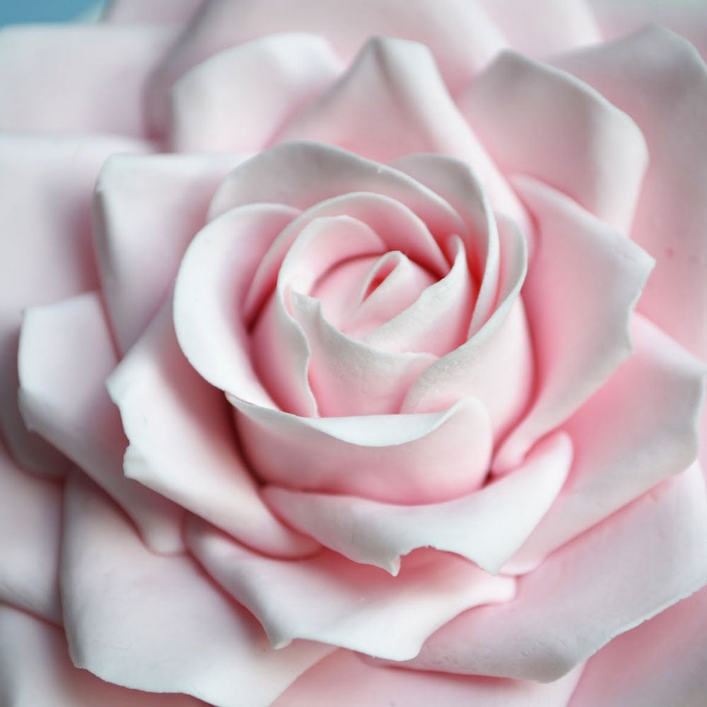 Utstikker Rose sett, 1,5 - 4,5 cm, 5 deler 3