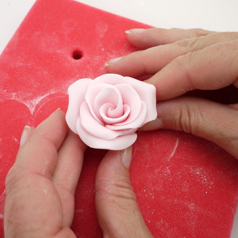 Utstikker Roser 2,0-7,0 cm, The Easiest Rose Ever 7
