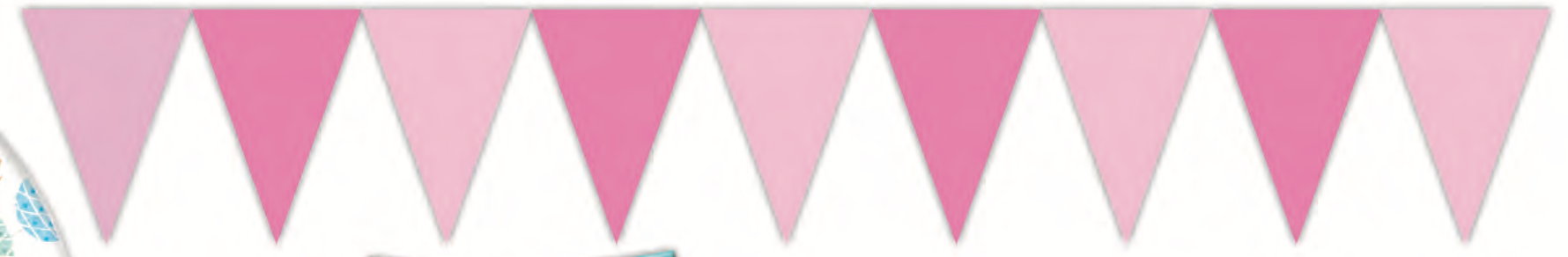 Flaggrekke Rosa ass i plast, 9 flagg 2