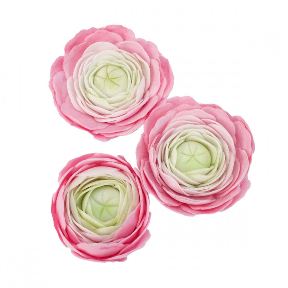 Utstikker, Easiest Ranunculus Ever, 2 deler