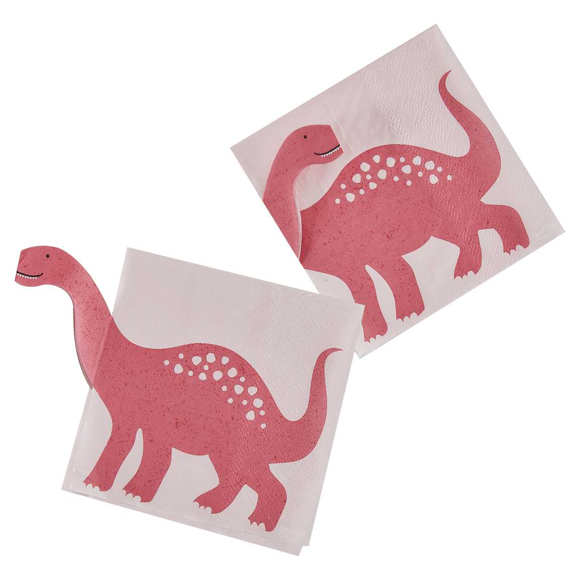 Ginger Ray Dinosaur Rosa 6